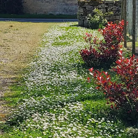 La Bonne Vie Σπίτι διακοπών