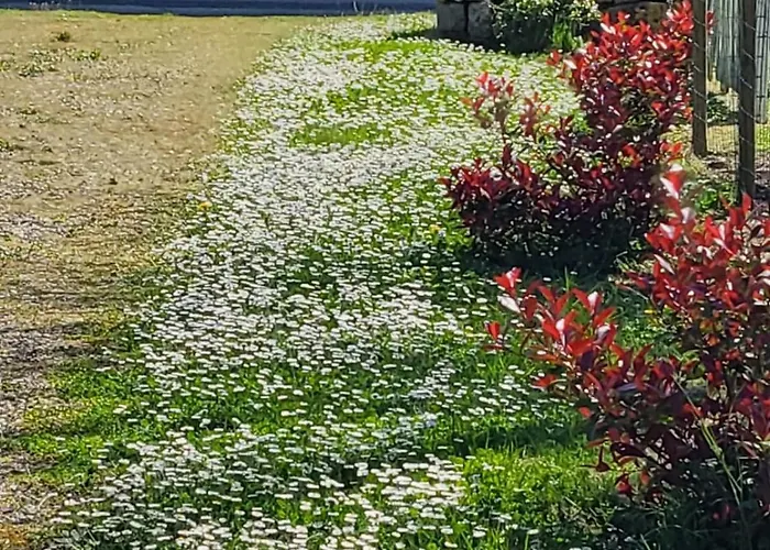 La Bonne Vie Сasa de vacaciones