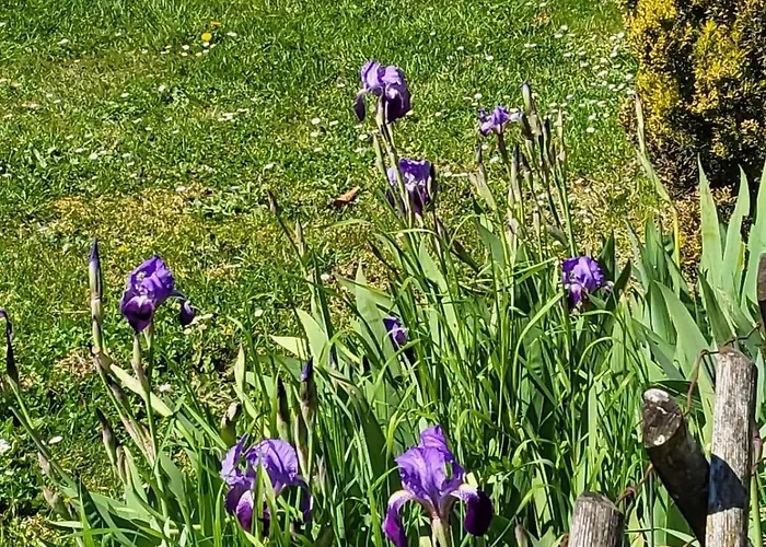 La Bonne Vie Сasa de vacaciones Chaunay